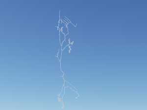 3D Neuron Model-05 3D Model