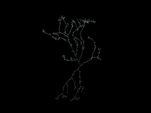 3D Neuron Model Collection x5 3D Model