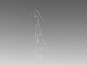 3D Neuron Model Collection x5 3Dモデル