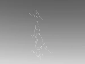 3D Neuron Model Collection x5 3D Model