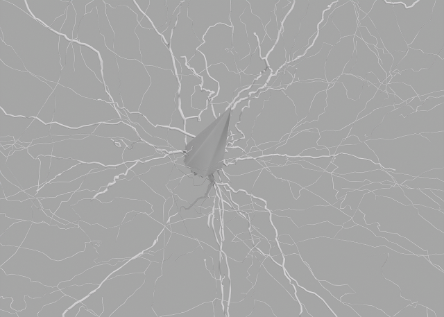 3D Neuron Model Collection x5 3Dモデル .c4d .max .obj .3ds .fbx .stl .blend