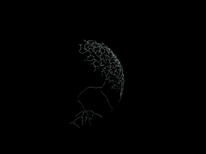 3D Neuron Model Collection x5 3Dモデル