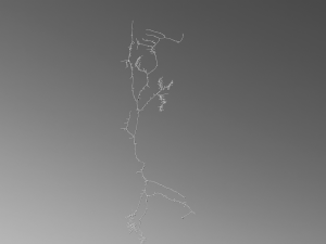 3D Neuron Model Collection x5 3Dモデル