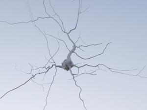 3D Neuron Model-06 3D Model