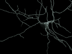 3D Neuron Model-06 3Dモデル