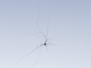 3D Neuron Model-06 3Dモデル