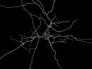 3D Neuron Model-06 3Dモデル