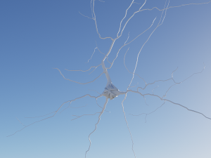 3D Neuron Model-06 3Dモデル