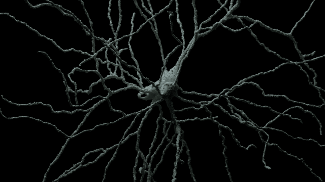 3D Neuron Model-07 3D Model .c4d .max .obj .3ds .fbx .stl .blend 