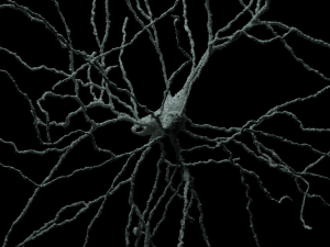 3D Neuron Model-07 3D Model