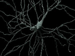 3D модель нейрона-07 3D Модель