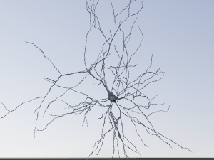 3D Neuron Model-07 3D Model