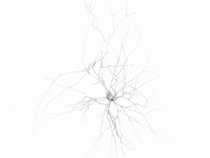 3D Neuron Model-07 3D Model