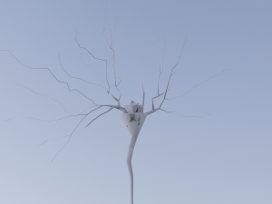 3D Neuron Model-08 3Dモデル