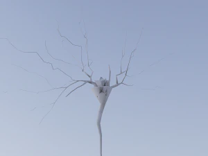 3D N&ouml;ron Modeli-08 3D Model