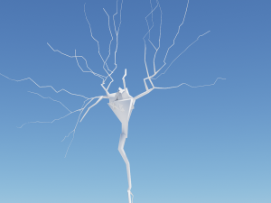3D Neuron Model-08 3Dモデル