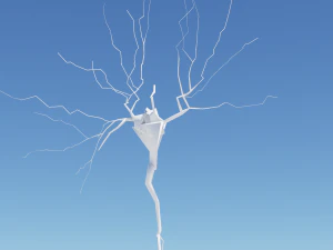 3D Neuron Model-08 3D Model