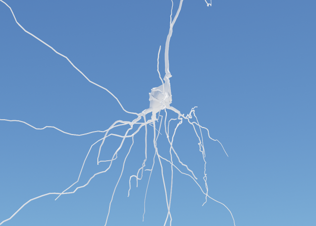 3D Neuron Model-09 3D मॉडल .c4d .max .obj .3ds .fbx .stl .blend 