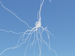 3D Neuron Model-09 3D Model