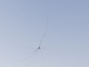 3D Neuron Model-09 3D मॉडल