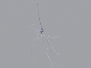 3D Neuron Model-09 3D मॉडल