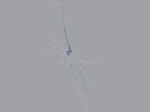 3D Neuron Model-09 3D Model