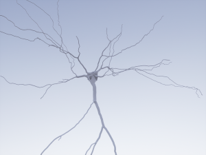 3D Neuron Model-11 3D Model