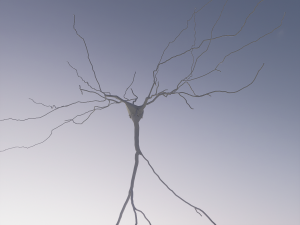 3D Neuron Model-11 3D Model