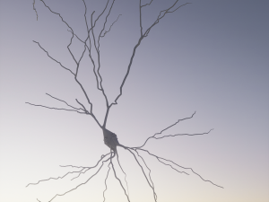 3D Neuron Model-12 3D Model