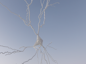 3D Neuron Model-12 3D Модель