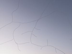 3D Neuron Model-13 3D Model