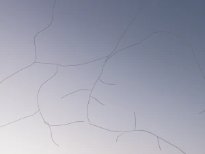 Modello 3D del neurone-13 Modello 3D