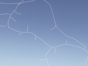 3D Neuron Model-13 3D Model