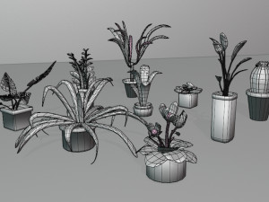 Low Poly Houseplants Pack 3D Model