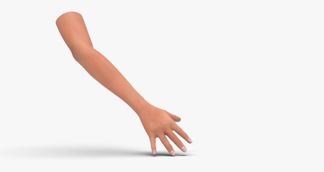 Arm hand 3D Модель .c4d .max .obj .3ds .fbx .stl .blend 