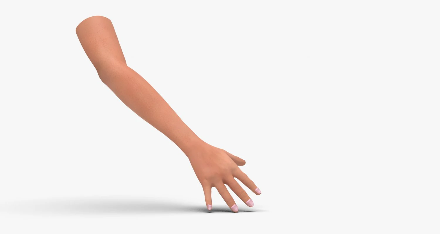 Arm hand 3D Model .c4d .max .obj .3ds .fbx .stl .blend 