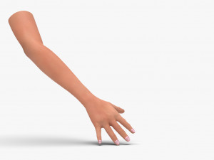 Arm hand Modelo 3D