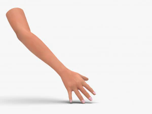 Mano del braccio Modello 3D
