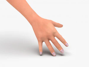 Arm hand 3D Model