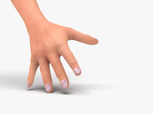 Arm hand 3D Model