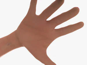 Arm hand 3D Model