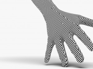 Arm hand 3D Модель