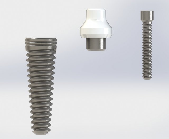 Dental implant 3D 模型 .c4d .max .obj .3ds .fbx .stl .blend 