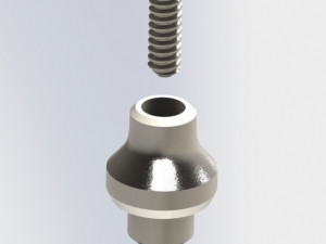 Dental implant 3D 模型
