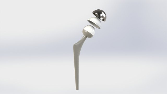 Hip 3D Model .c4d .max .obj .3ds .fbx .stl .blend 