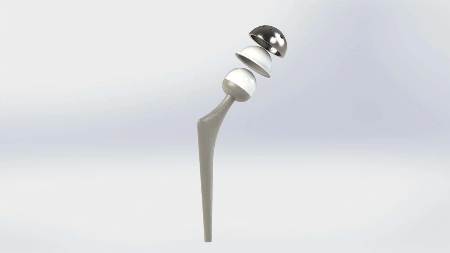 Hip 3D Model .c4d .max .obj .3ds .fbx .stl .blend 