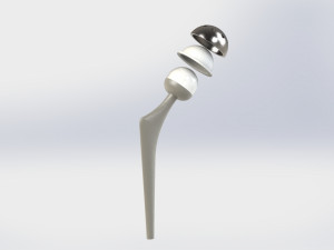 Hip 3D Model