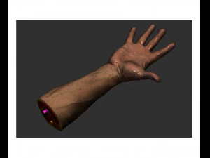 Анатомия-модель-рука 3D Модель