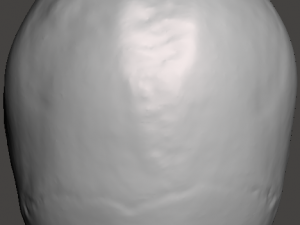 Brain-in-skull-with-neck 3D Model