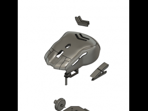 Mouse Model 3D